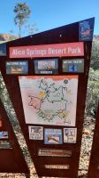 Rundreise Australien - Besuch im Alice Springs Dessert Park