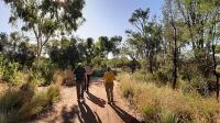 Rundreise Australien - Besuch im Alice Springs Dessert Park