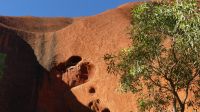 Rundreise Australien - Spaziergang am Uluru im Outback