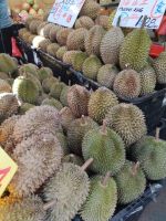 Durian, Stinkefrucht