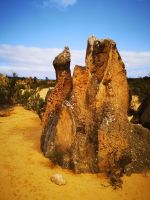 Pinnacles Nambung NP