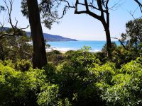 Stände an Great Ocean Road 