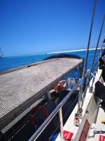 Great Barrier Reef, unser Katameran Trip