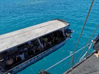 Tenderboot im Great Barrier Reef