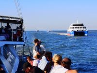  Rückfahrt nach Cairns, Great Barrier Reef