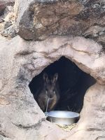 Wildlife Park bei Sydney