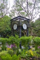 016 – Singapur, Orchideengarten