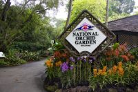 017 – Singapur, Orchideengarten