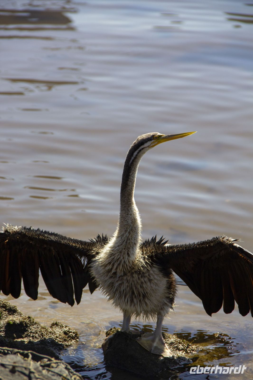 032 – Australien, Perth