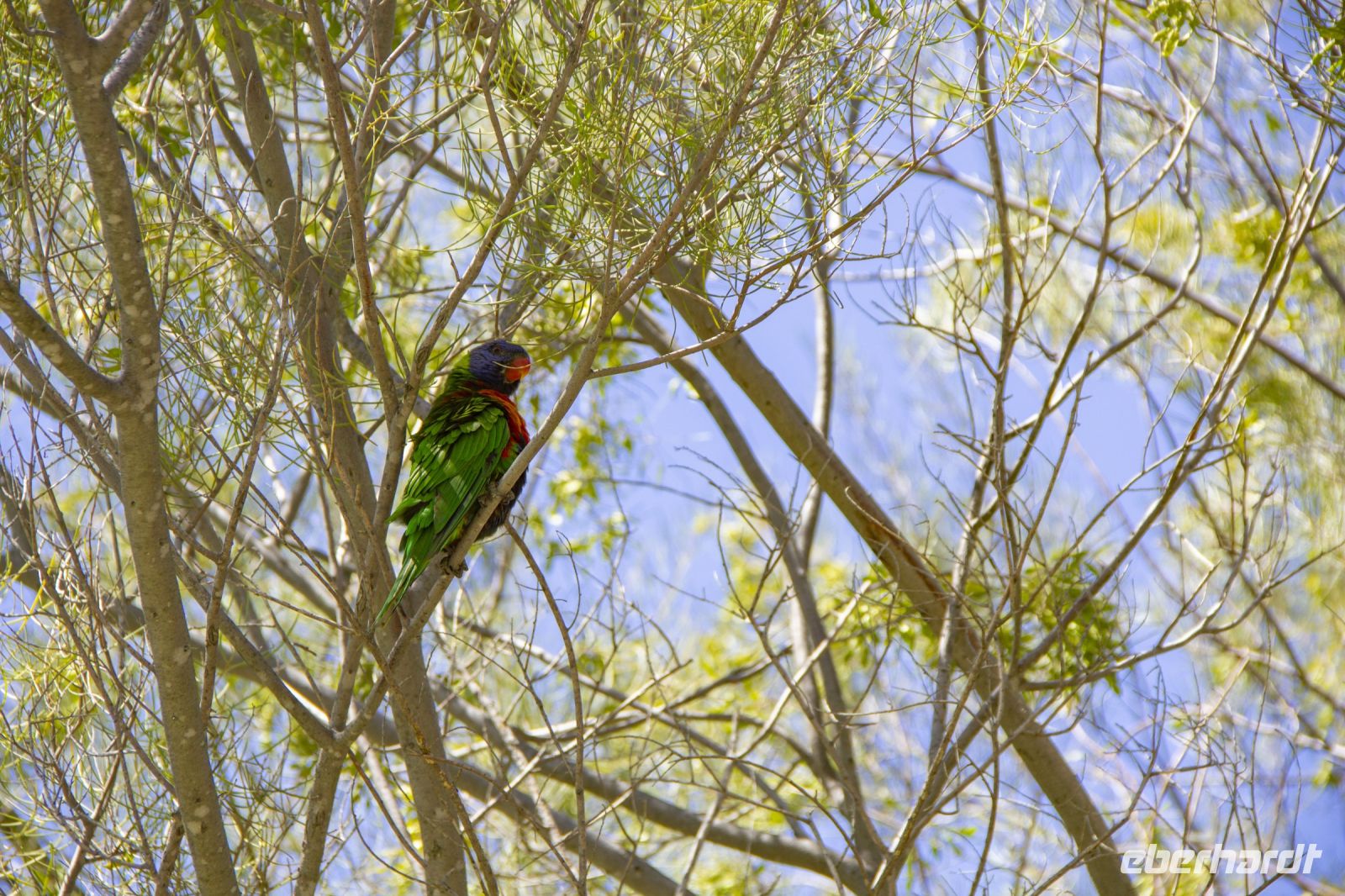 044 – Australien, Perth, Kings Park