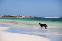 050 – Australien, Westaustralien, Küste