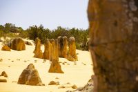 053 – Australien, The Pinnacles