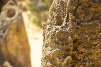 056 – Australien, The Pinnacles