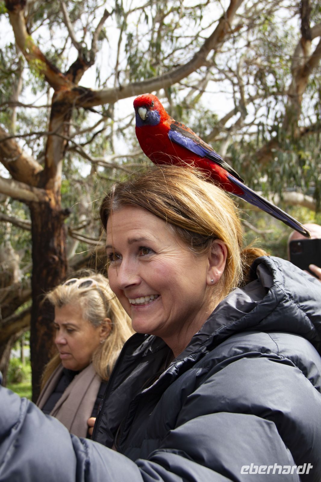 068 – Australien, Great Ocean Road