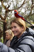 068 – Australien, Great Ocean Road