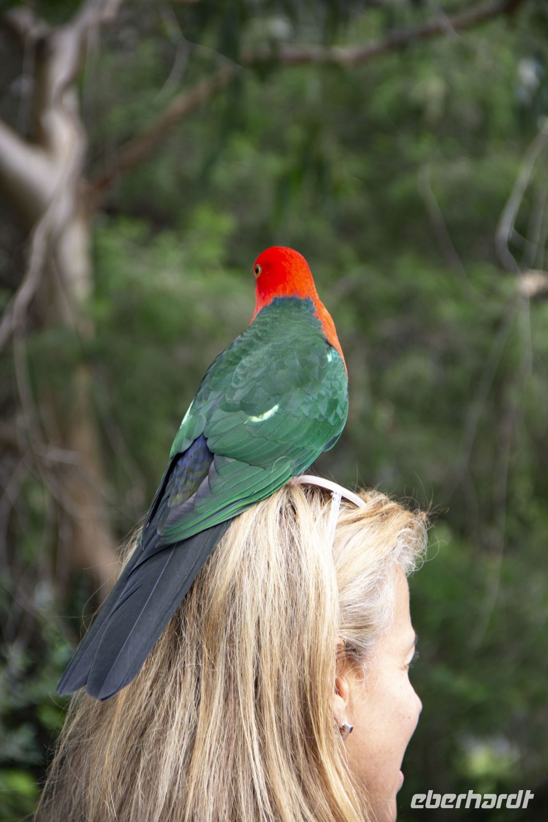 069 – Australien, Great Ocean Road