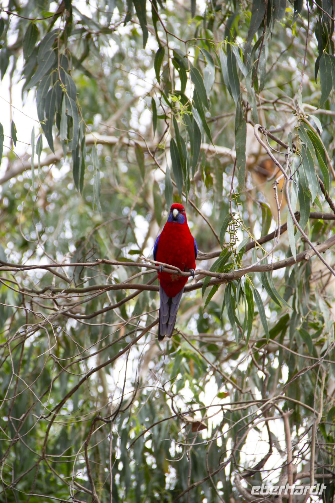 070 – Australien, Great Ocean Road