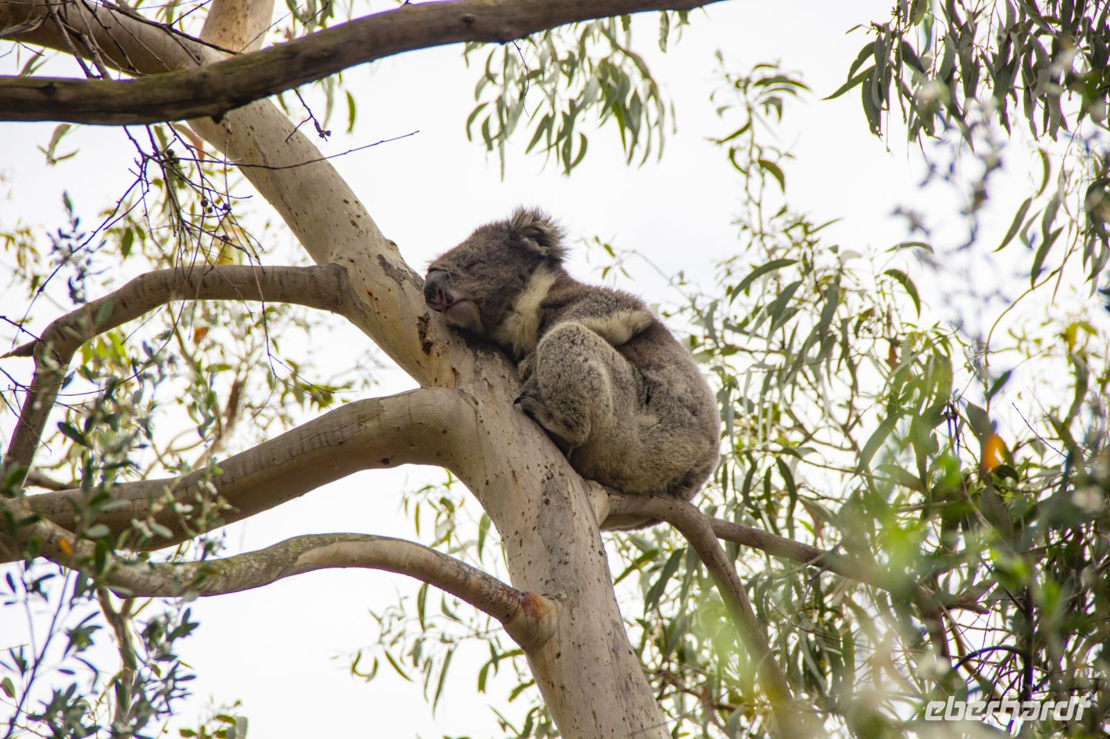 071 – Australien, Great Ocean Road