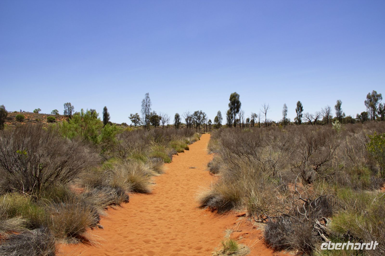 077 – Australien, Outback