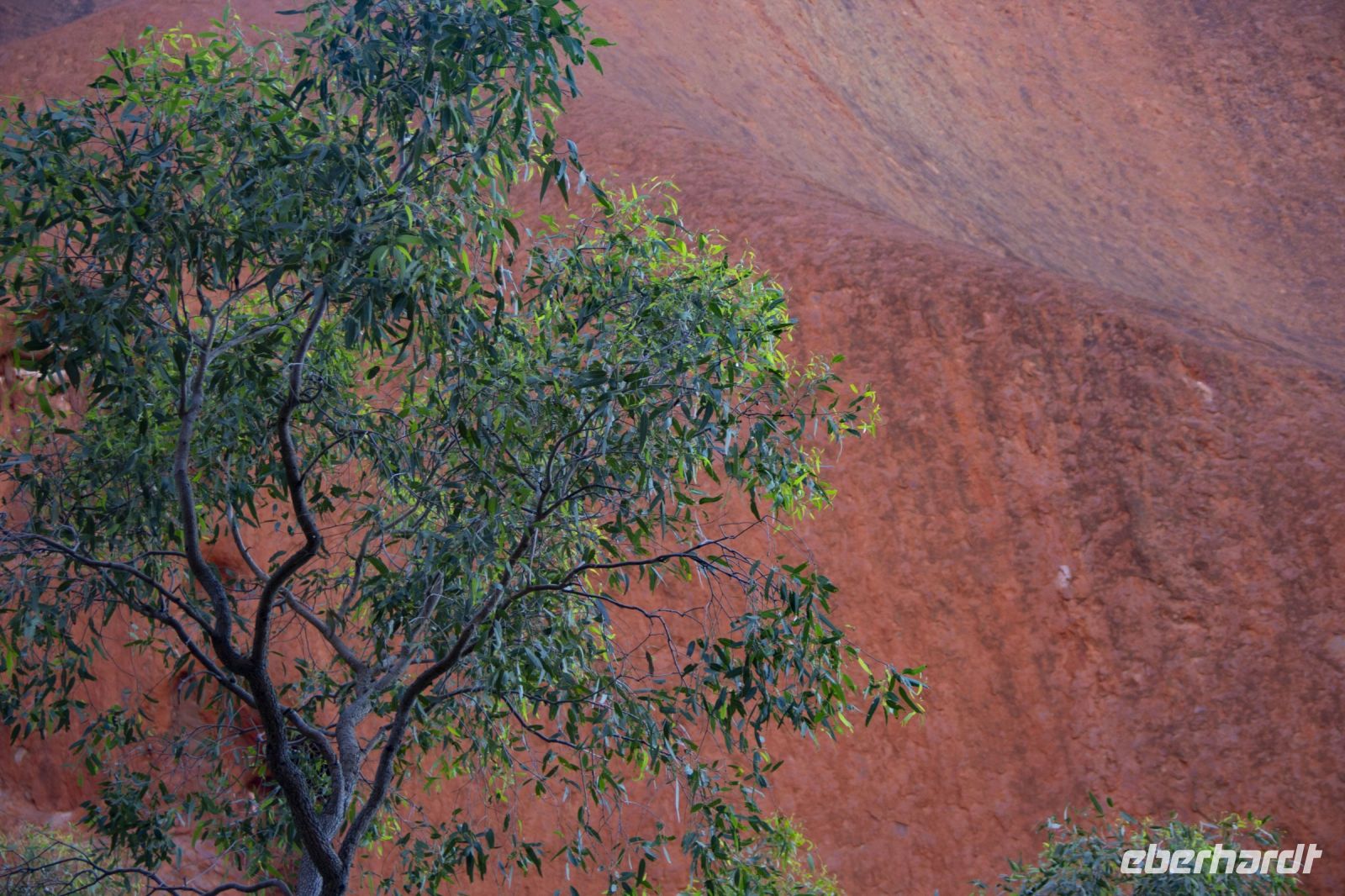 090 – Australien, Uluru