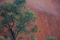 090 – Australien, Uluru
