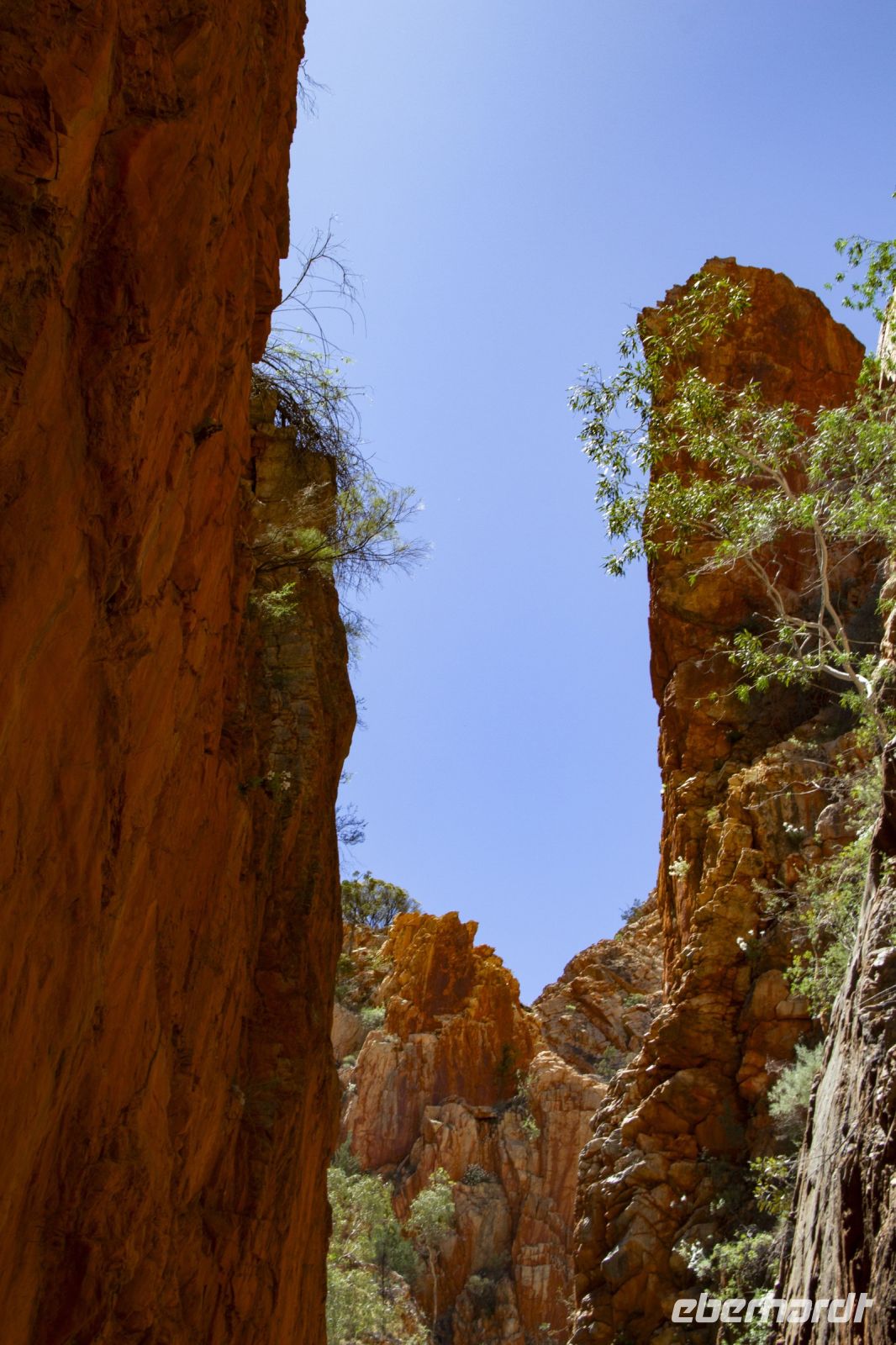 100 – Australien, Standley Chasm