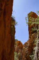 100 – Australien, Standley Chasm