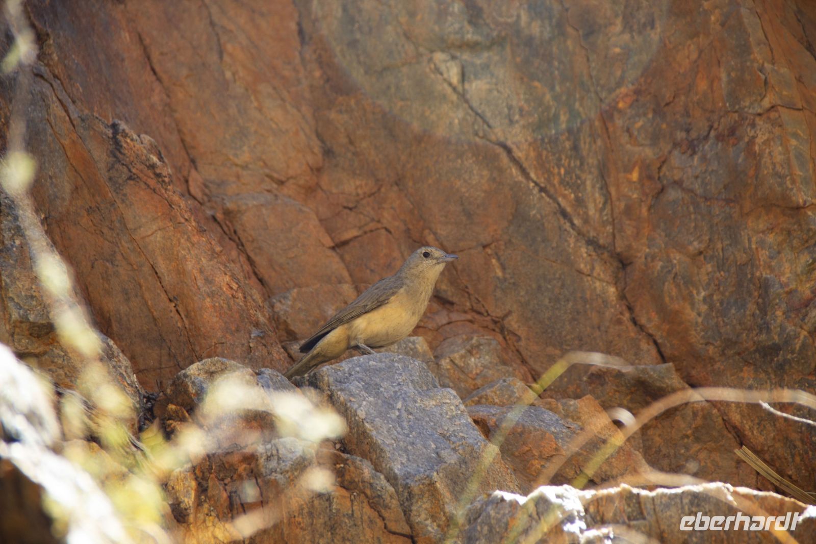 101 – Australien, Standley Chasm