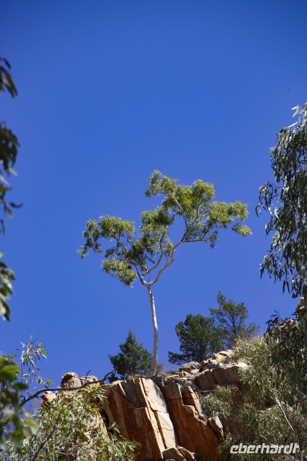 102 – Australien, Standley Chasm