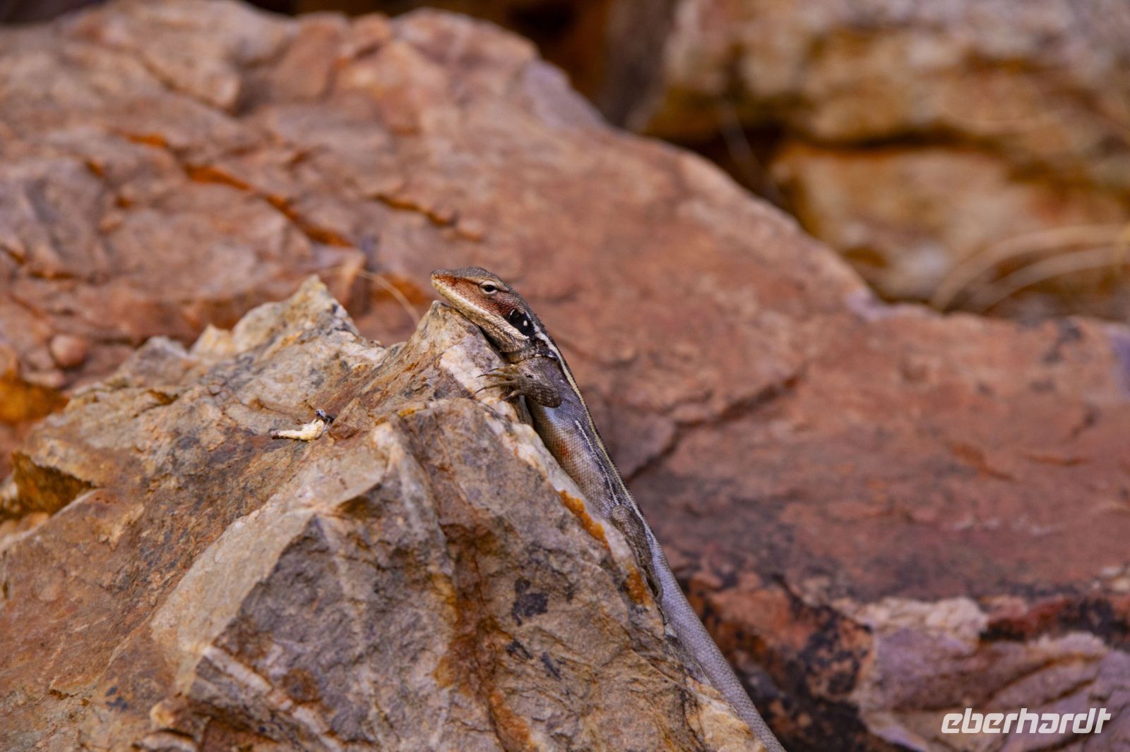 108 – Australien, Standley Chasm