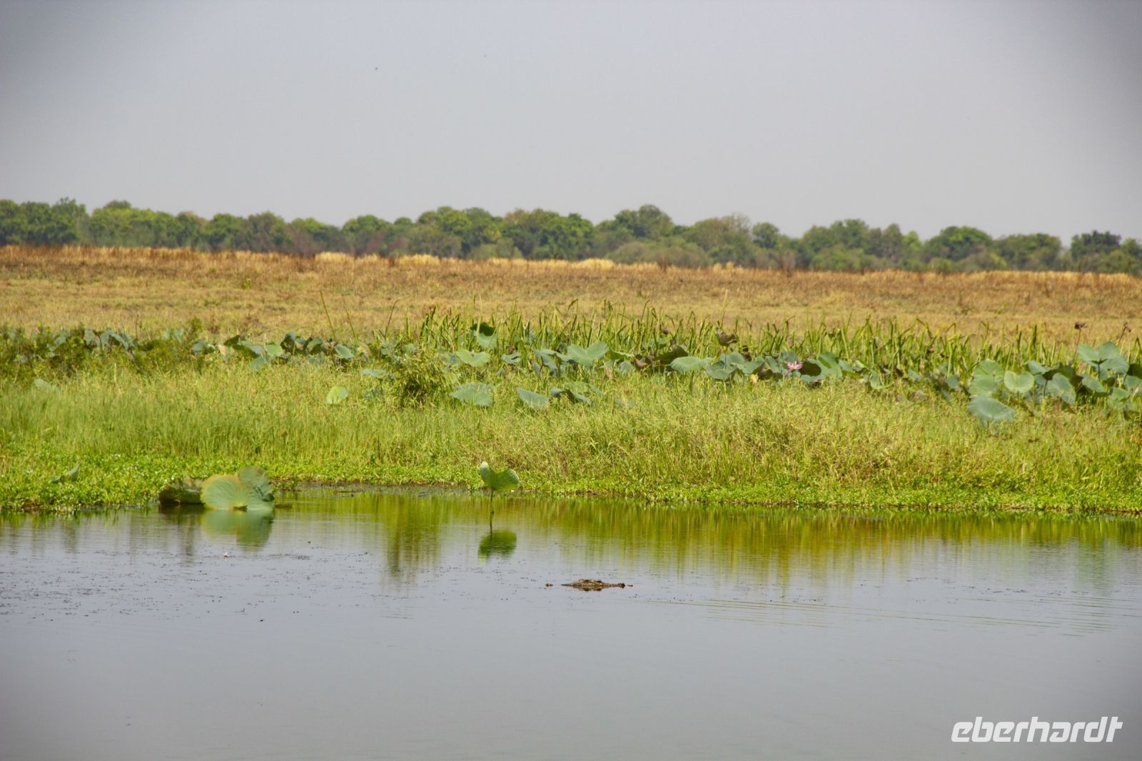 124 – Australien, Arnhemland