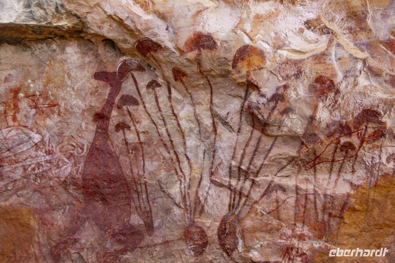 126 – Australien, Arnhemland