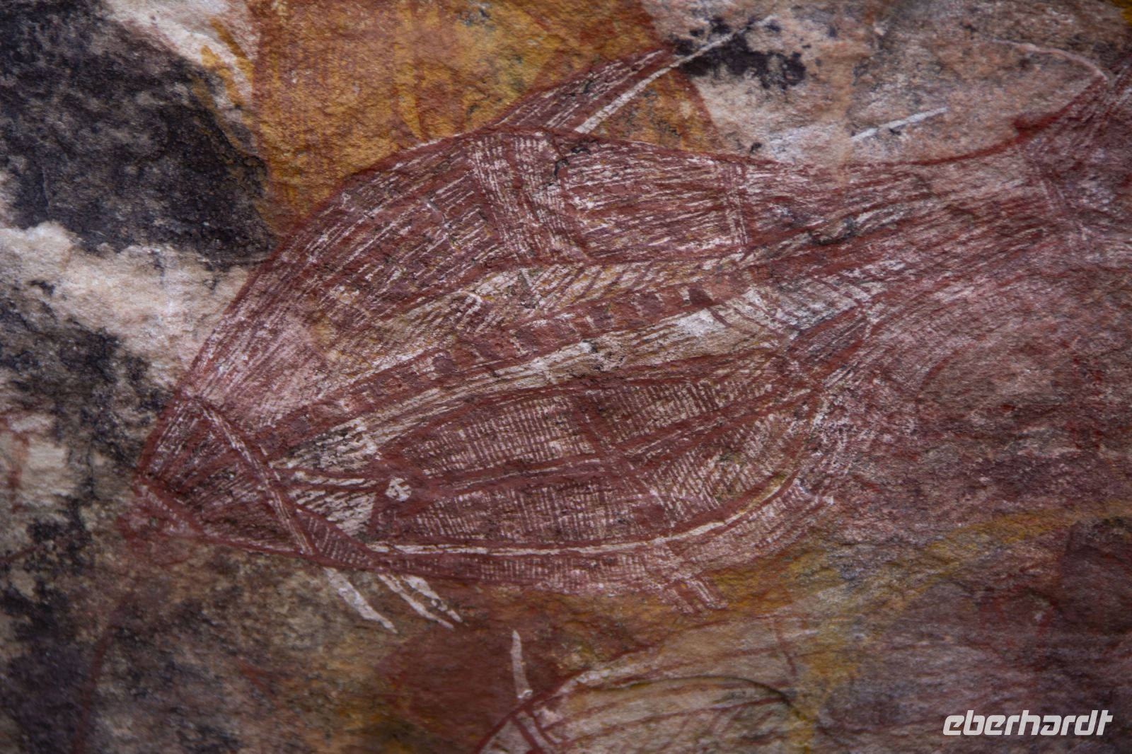 129 – Australien, Arnhemland