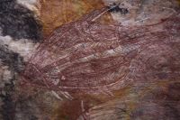 129 – Australien, Arnhemland