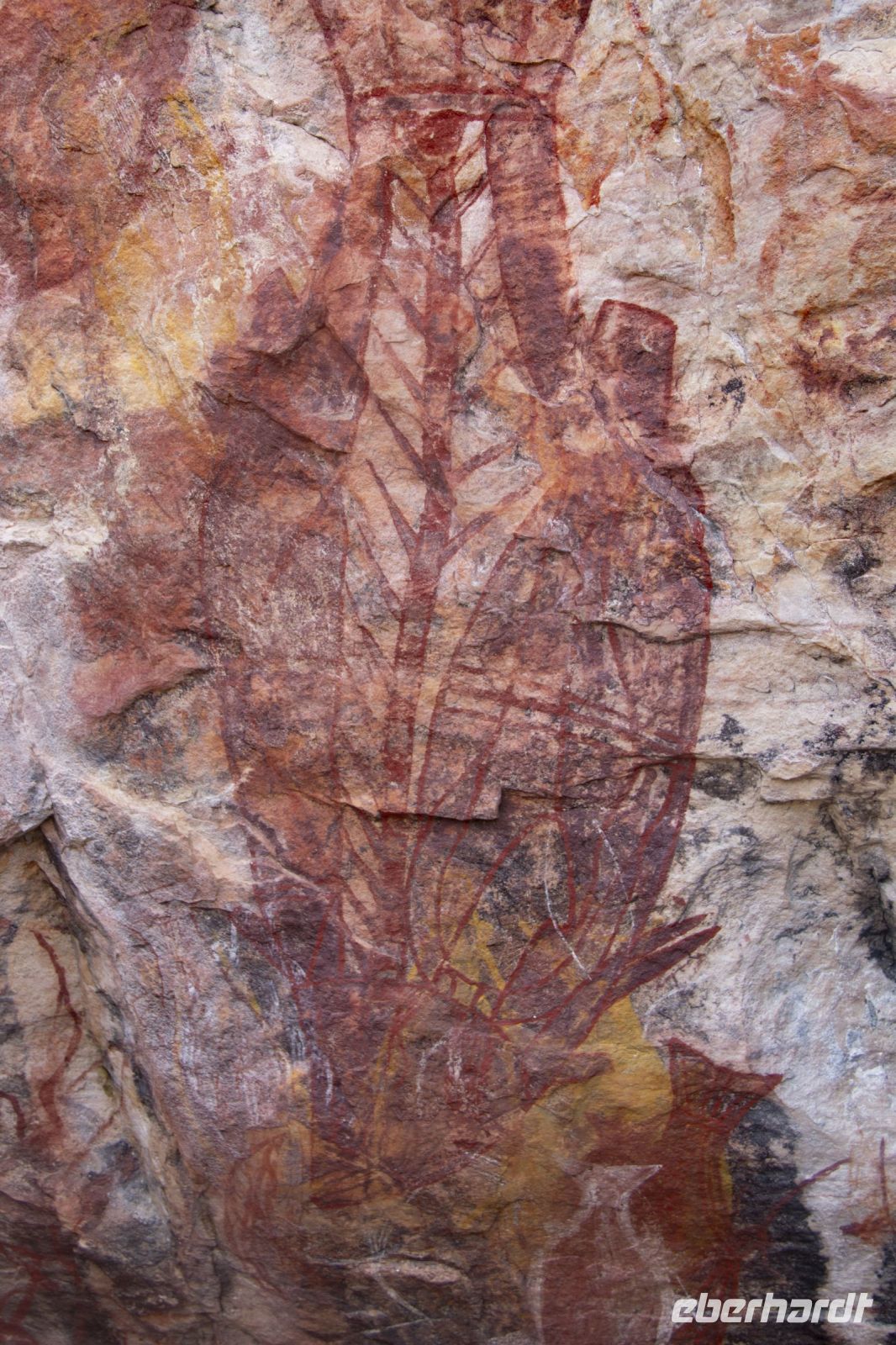 131 – Australien, Arnhemland