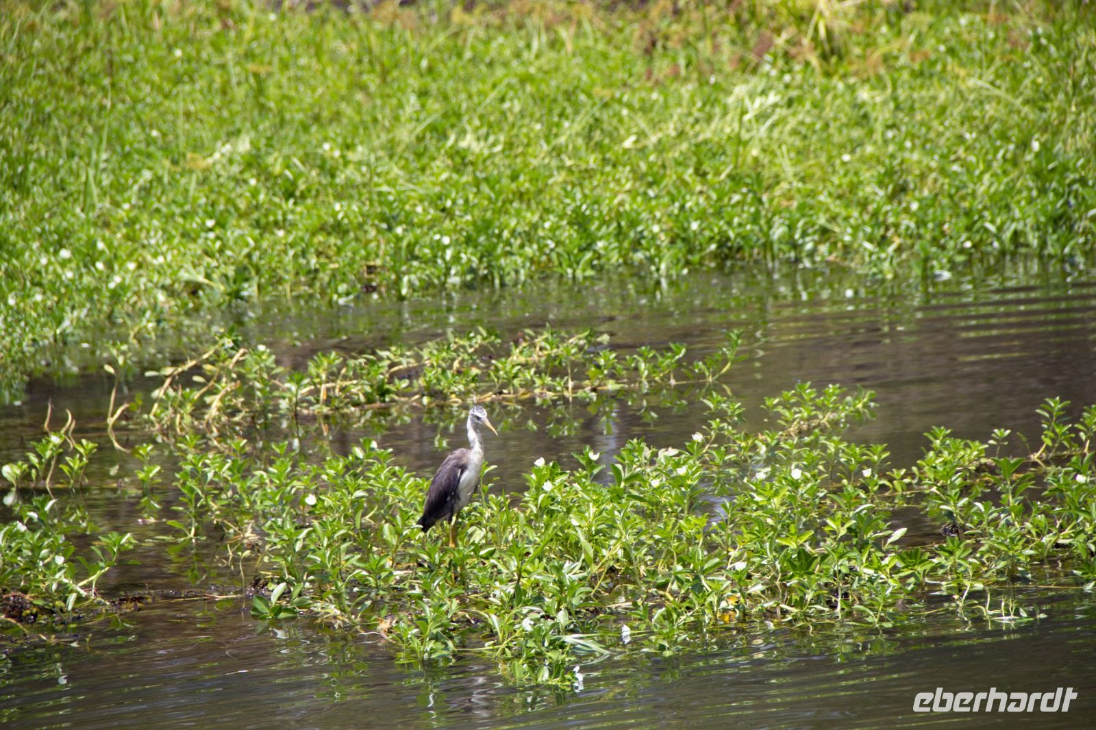 138 – Australien, Kakadu-Nationalpark
