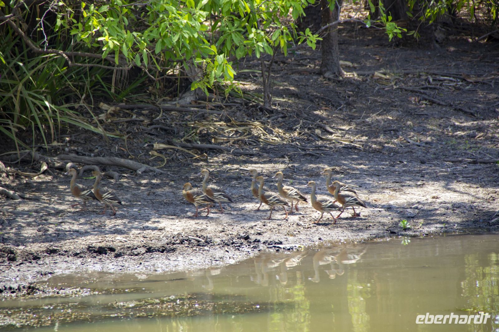 142 – Australien, Kakadu-Nationalpark