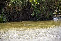 143 – Australien, Kakadu-Nationalpark