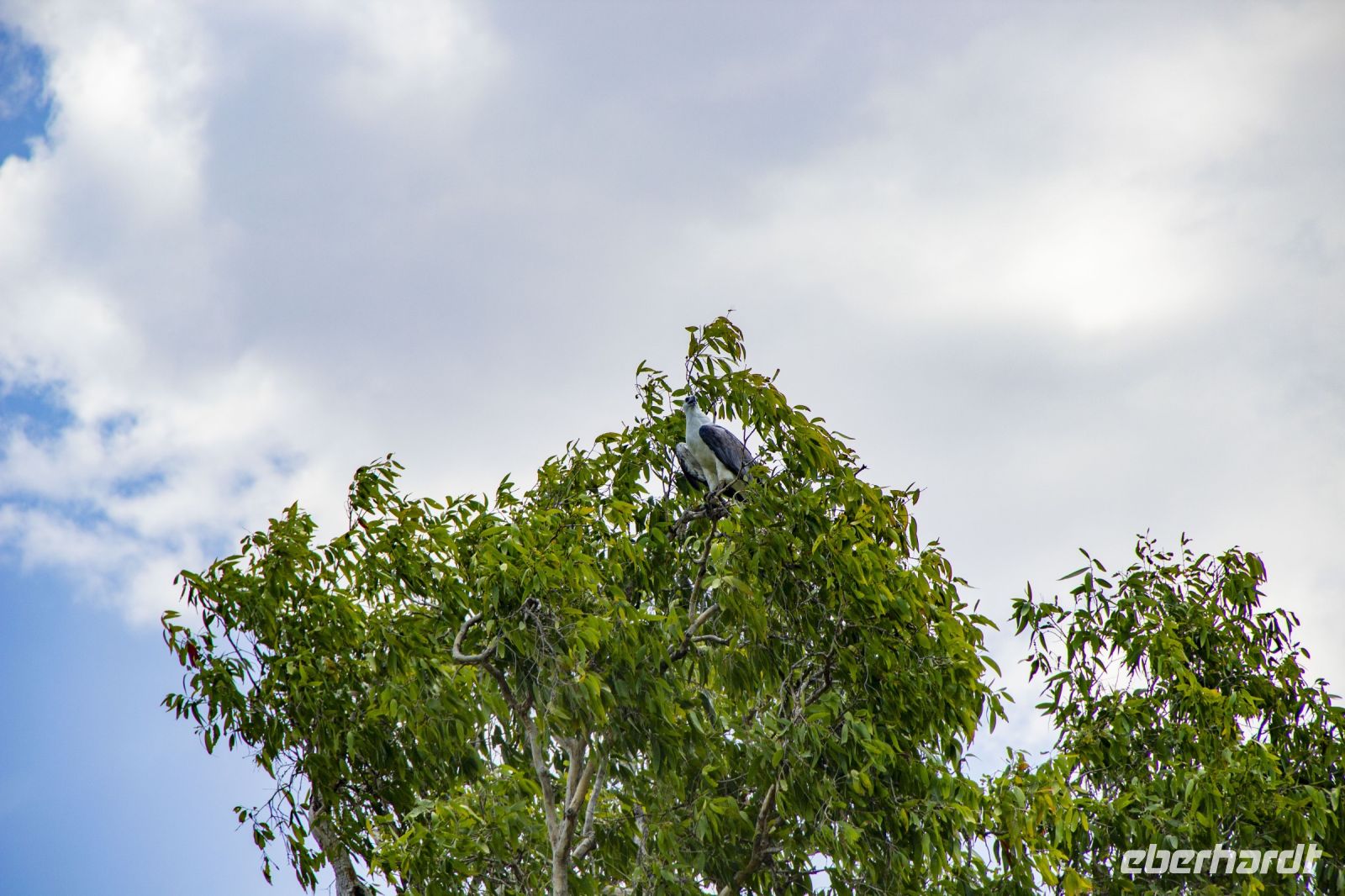 146 – Australien, Kakadu-Nationalpark