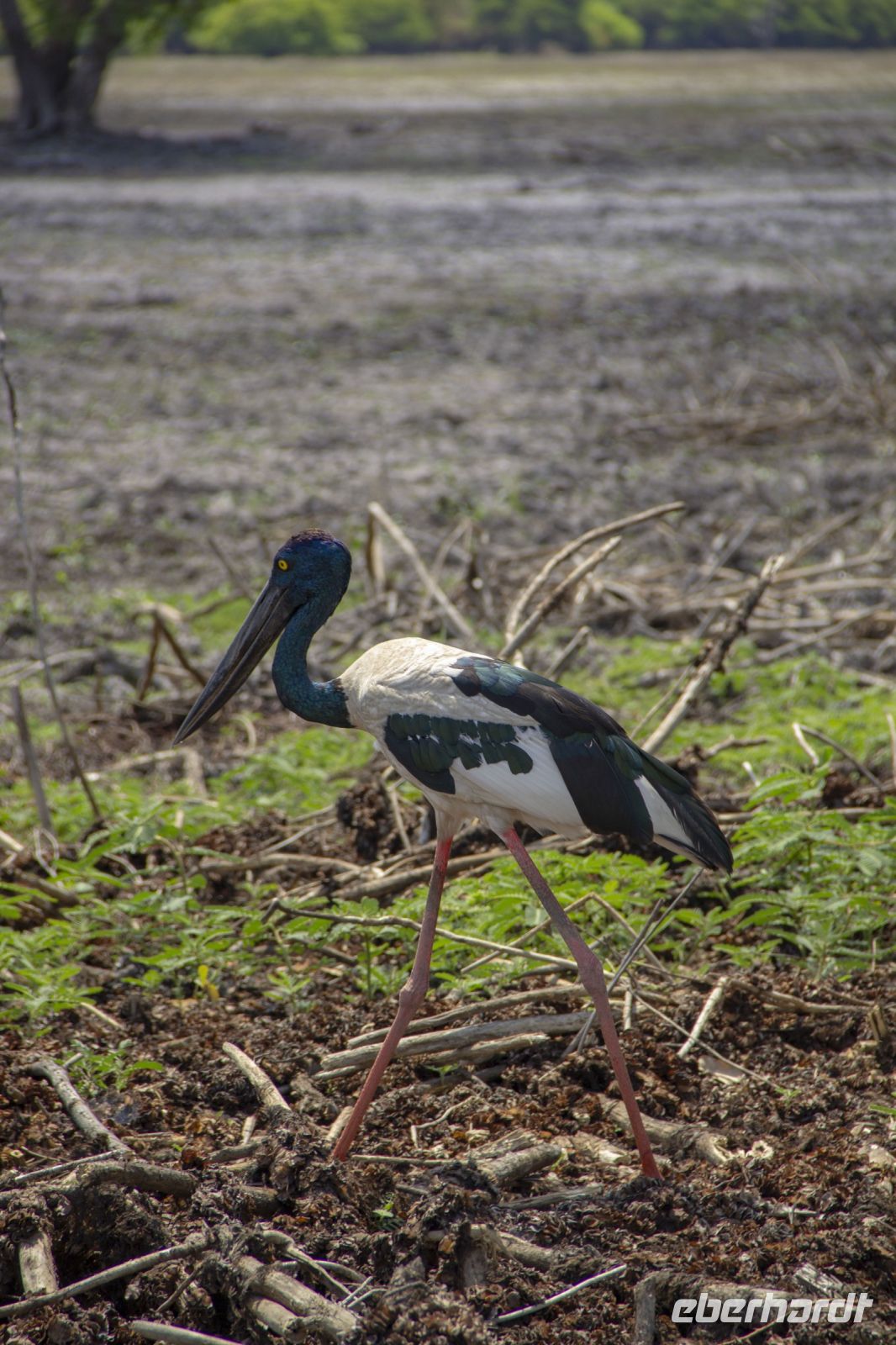 149 – Australien, Kakadu-Nationalpark