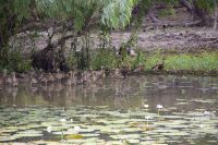 150 – Australien, Kakadu-Nationalpark