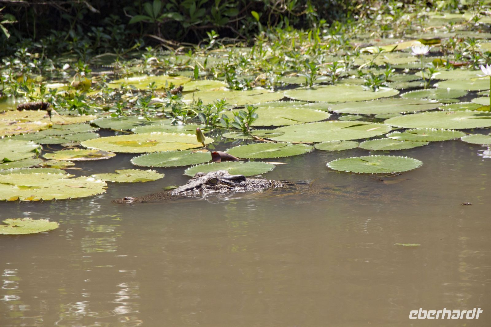 151 – Australien, Kakadu-Nationalpark