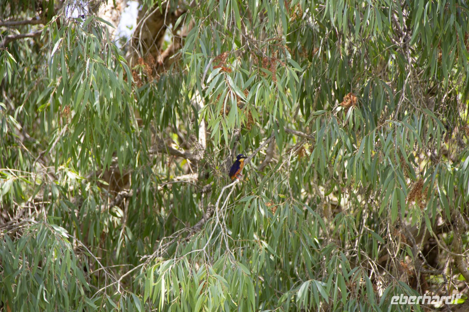 152 – Australien, Kakadu-Nationalpark