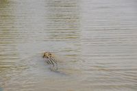 153 – Australien, Kakadu-Nationalpark