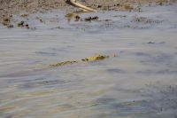 154 – Australien, Kakadu-Nationalpark