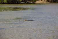 155 – Australien, Kakadu-Nationalpark
