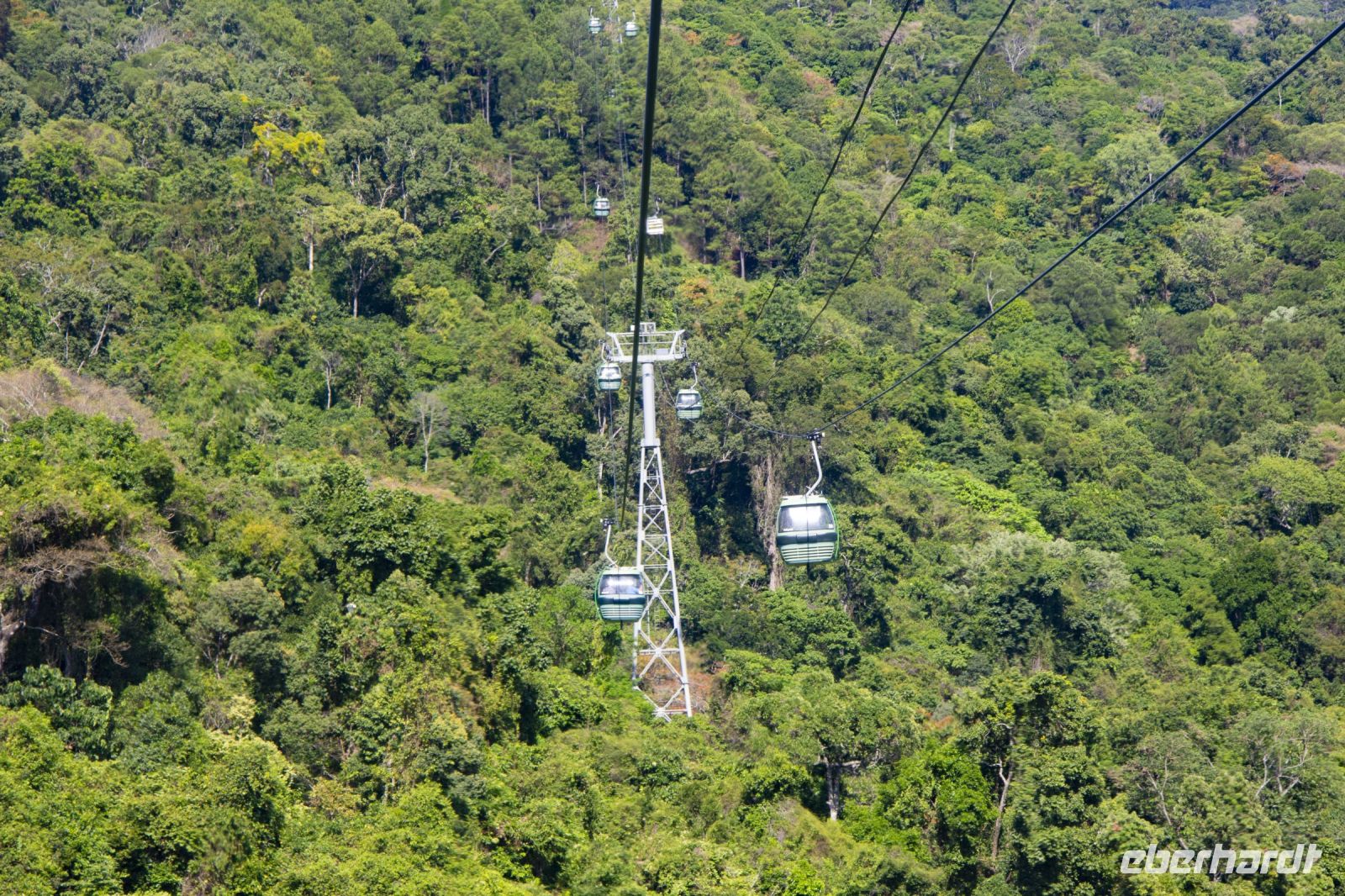 158 – Australien, Cairns, Kuranda