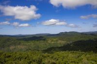 162 – Australien, Cairns, Kuranda