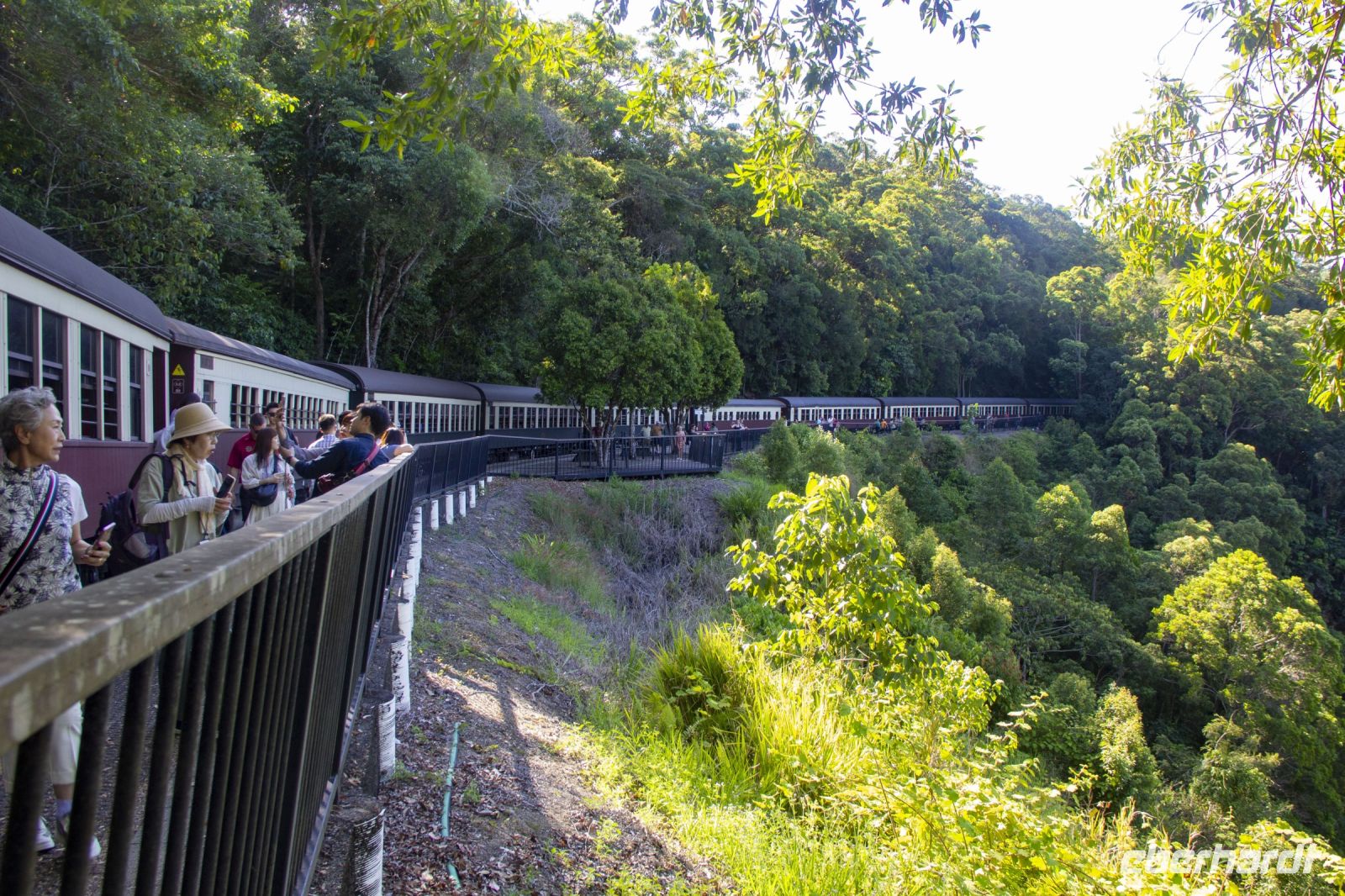 170 – Australien, Cairns, Kuranda