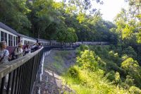170 – Australien, Cairns, Kuranda